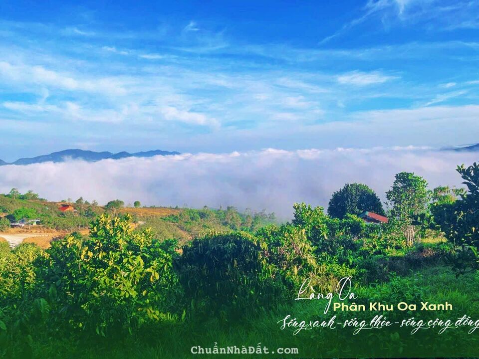Bán đất Làng Oa 1000m2 - Nơi hội tụ những người yêu thiên nhiên có view hồ, suối, săn mây